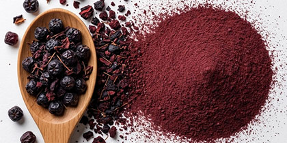 Ultra-fine Aronia Pomace Powder