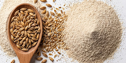 Ultra-fine Malt Powder